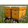 Bienenpatenschaft