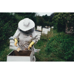 Bienenpatenschaft